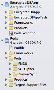 FMDB, SQLCipher, and Zumero pods installed in project